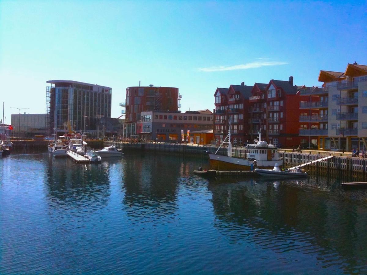 Eagle View Lofoten Bostad المظهر الخارجي الصورة