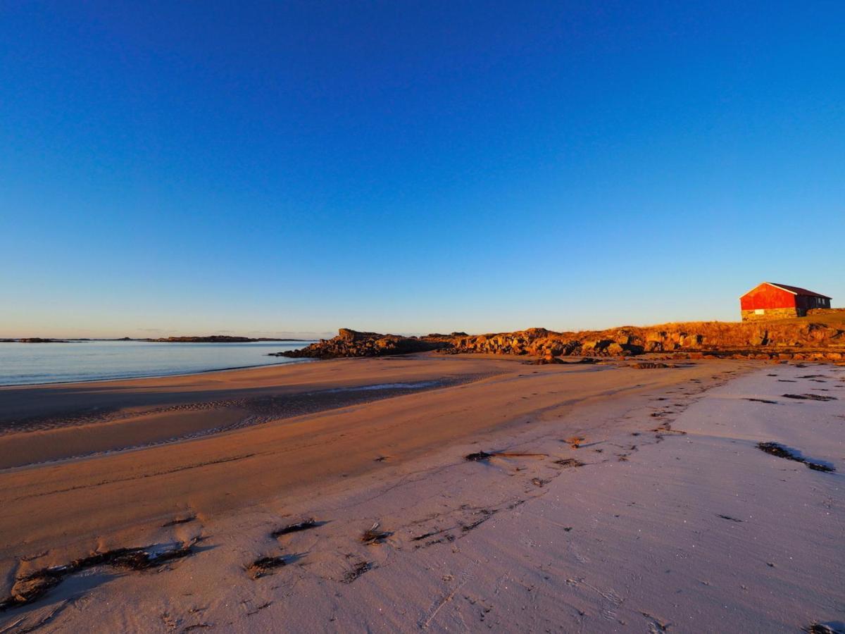 Eagle View Lofoten Bostad المظهر الخارجي الصورة