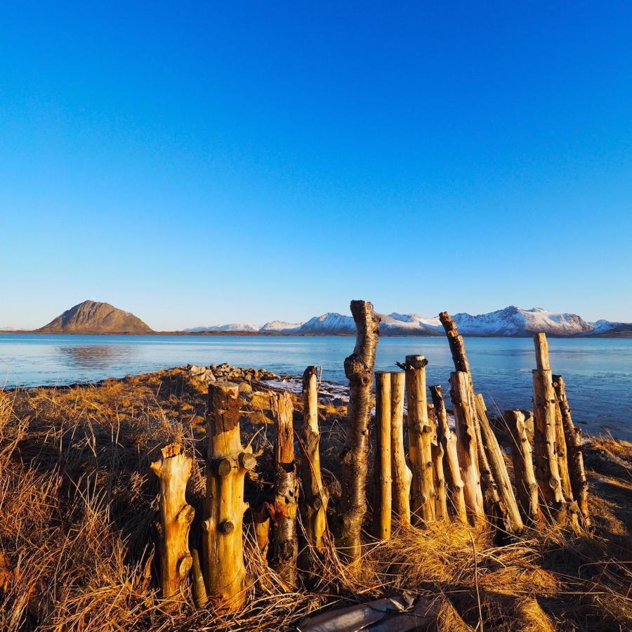 Eagle View Lofoten Bostad المظهر الخارجي الصورة